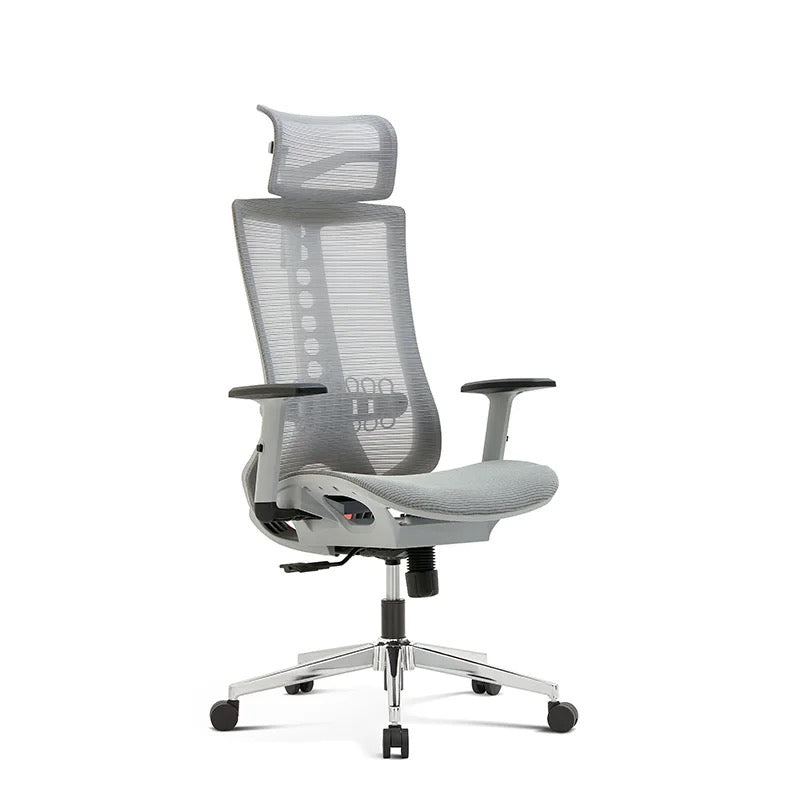 Discover Premium Oslo Chair – Ergonomic Office Chair