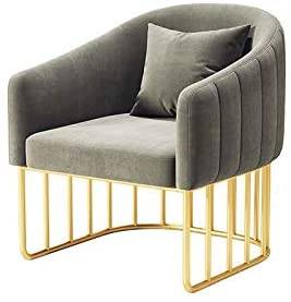 Single Sofa Comfy Upholstered Arm Golden Metal Frame Legs