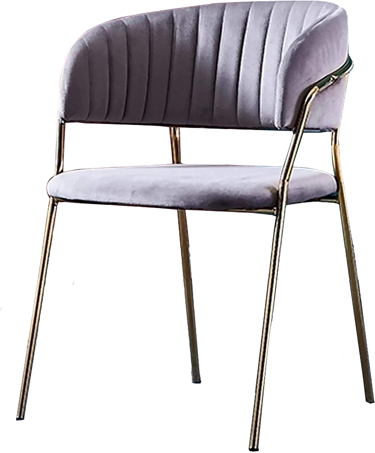 Modern Comfortable Stainless Steel Frame Gold Legs -Caligo