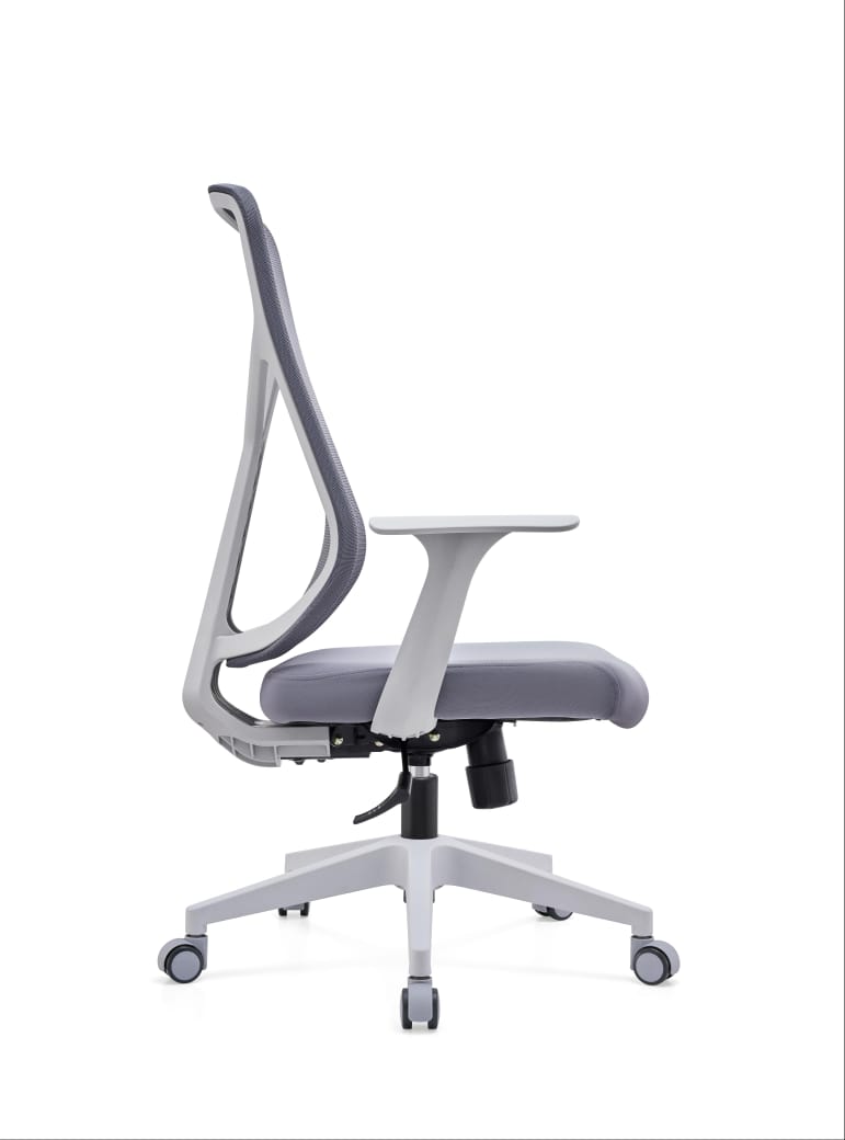 Sleeky Office Chair-Caligo