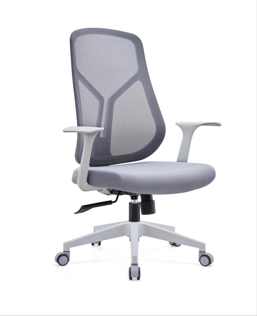 Sleeky Office Chair-Caligo