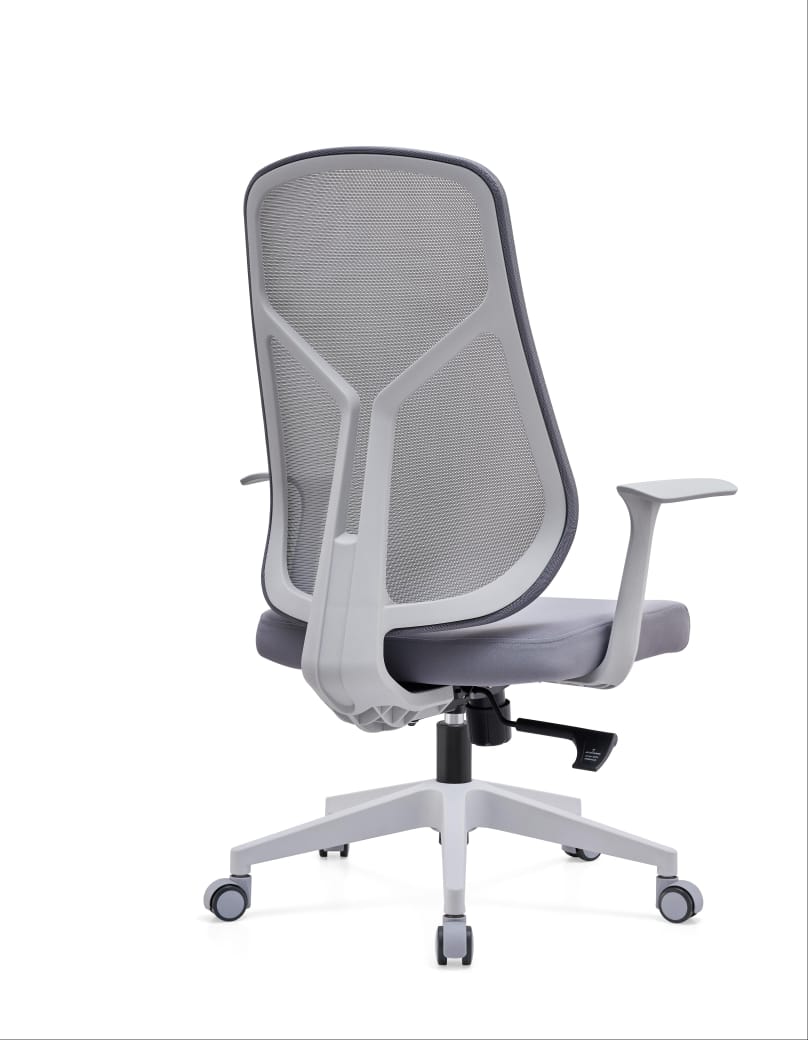 Sleeky Office Chair-Caligo