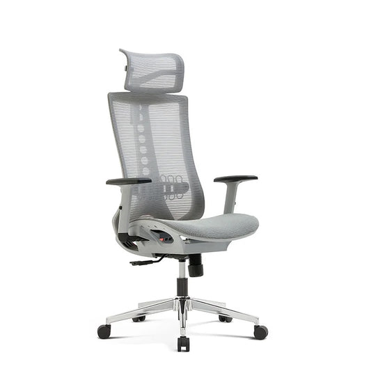 Discover Premium Oslo Chair – Ergonomic Office Chair
