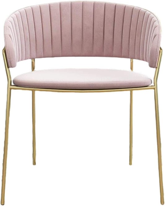 Modern Comfortable Stainless Steel Frame Gold Legs -Caligo